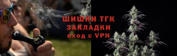 первитин Няндома